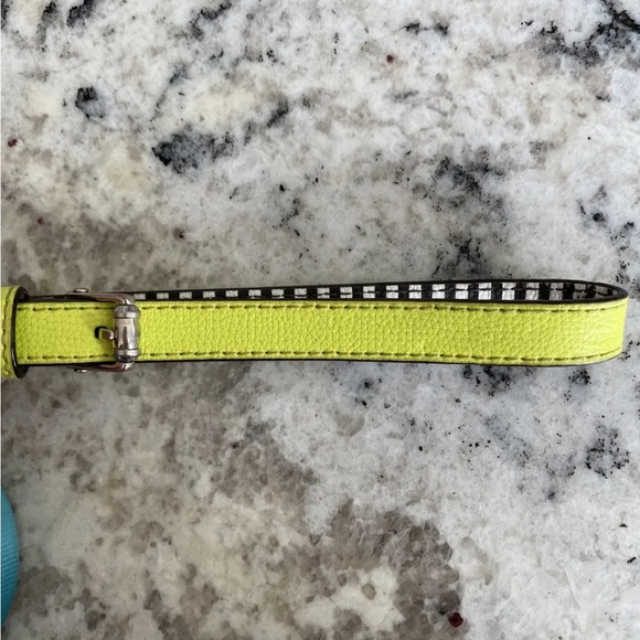 Henri Bendel influencer Dog Leash and Harness set - Picture 2 of 8